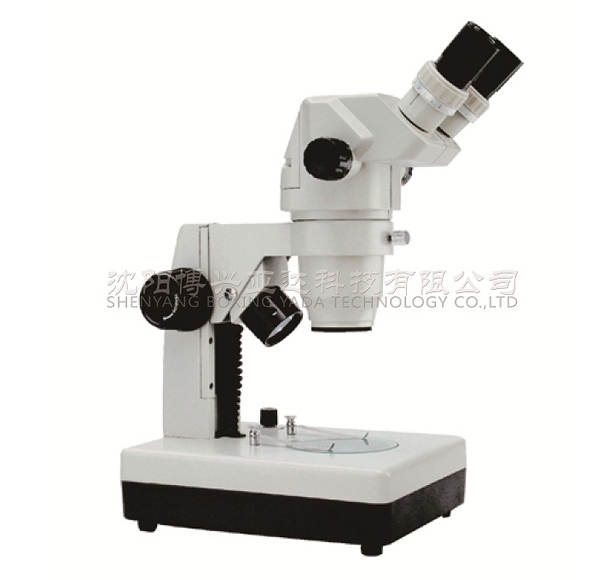 STM65立体显微镜